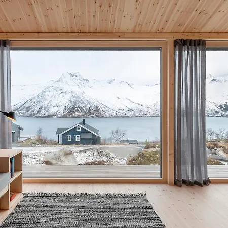 Black Aurora Nook *