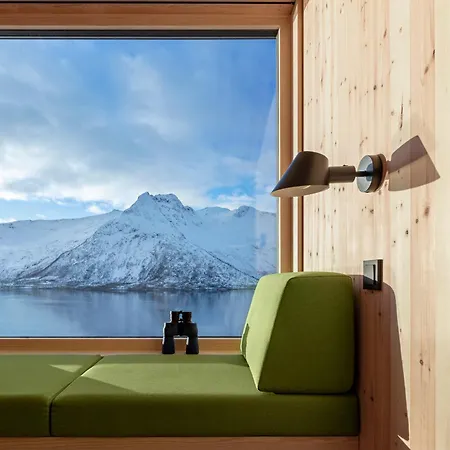 Black Aurora Nook *