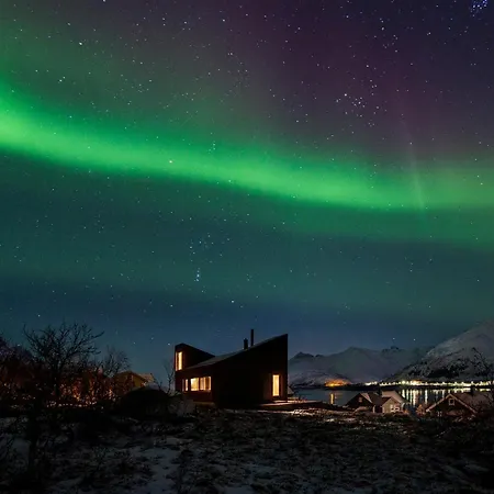 Black Aurora Nook *